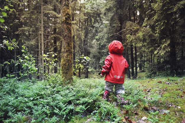 Foto vista posteriore di una ragazza in piedi nella foresta