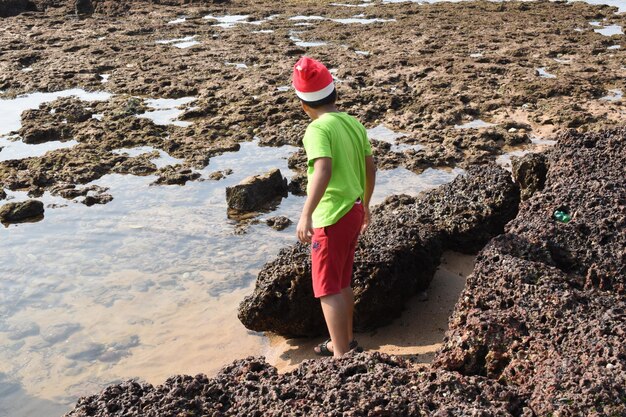 Rear view of girl standing on rock