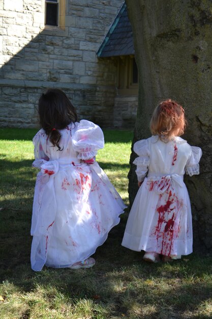 フィールドに立っているハロウィーン・コスチュームを着た女の子の後ろの景色