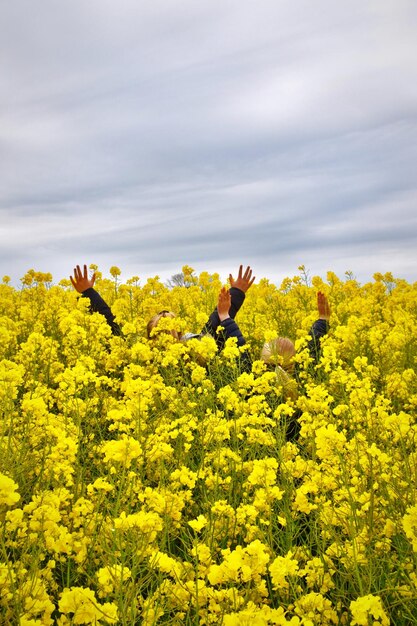 Rear view of girls with arms raised amidst yellow flowers