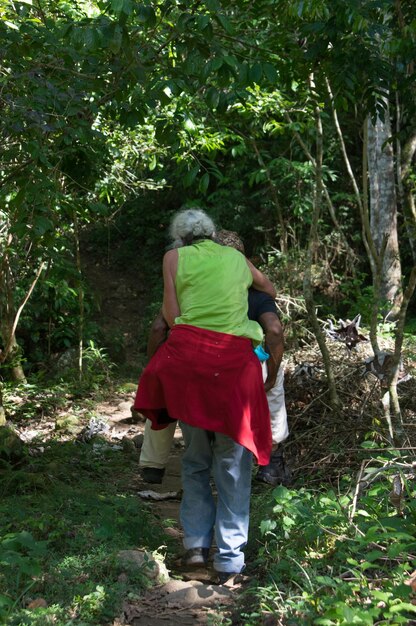 Foto vista posteriore della guida che porta una donna nella foresta