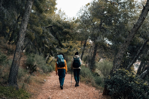 Foto retrovisione di una viandante che cammina sulla traccia nella foresta