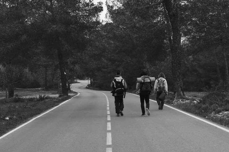 फोटो rear view of hikers walking on road amidst trees