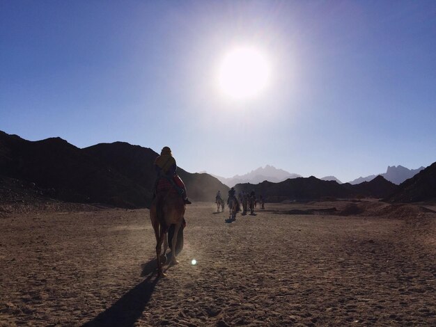 Foto vista posteriore di un cavallo che cavalca nel deserto