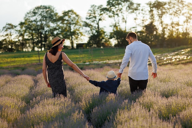 Rear view of a joyful family walking hand in hand through a lavender field at sunset