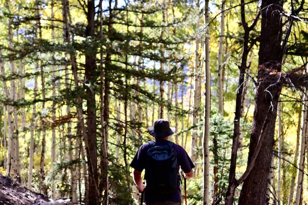 Photo rear view of male hiker in forest