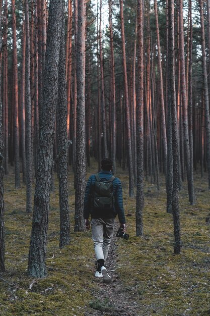 Photo rear view of man amidst trees in forest