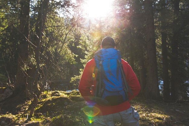 Photo rear view of man amidst trees in forest