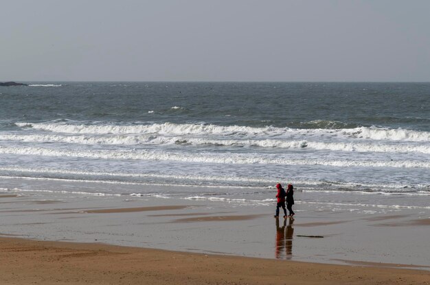 Rear view of man at beach against clear sky