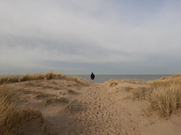 Foto vista posteriore di un uomo sulla spiaggia contro il cielo