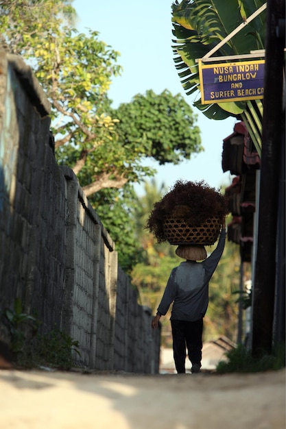 Photo rear view of man carrying basket on head while walking on footpath