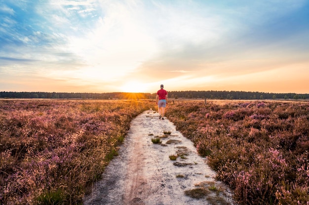 Photo rear view of man on field against sky during sunset