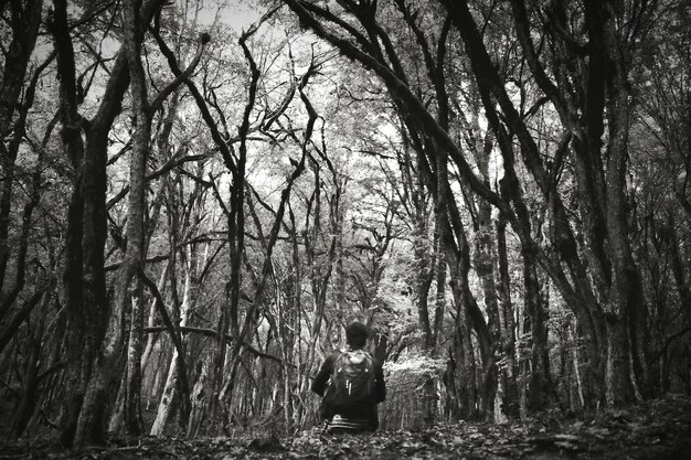 Rear view of man in forest