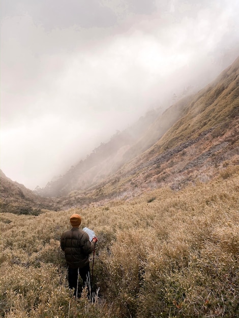 Rear view of man looking at mountains against sky