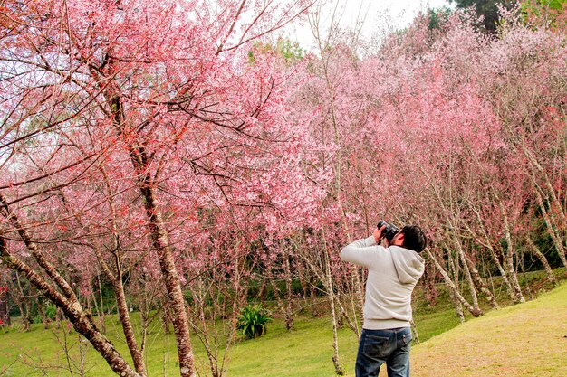 Photo rear view of man photographing with pink flowers