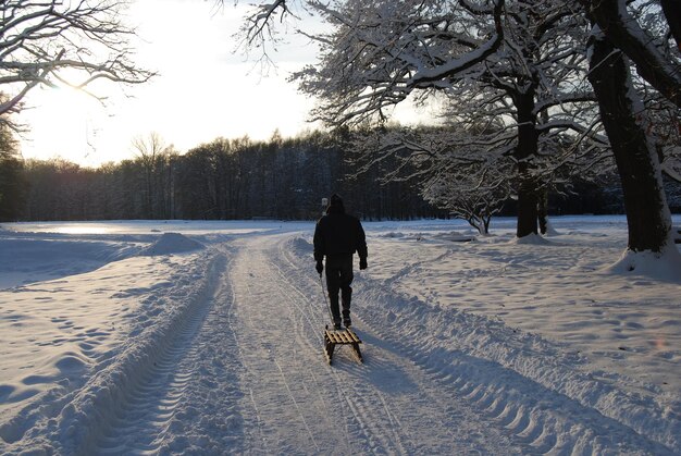 rear view of man pulling sled on snowy field during sunny day