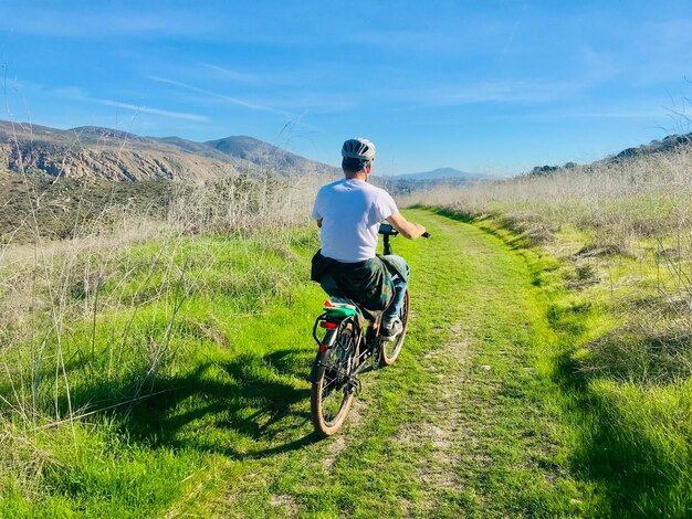 Rear view of man riding bicycle on field