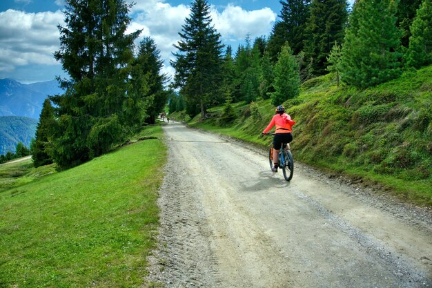 Photo rear view of man riding bicycle on road