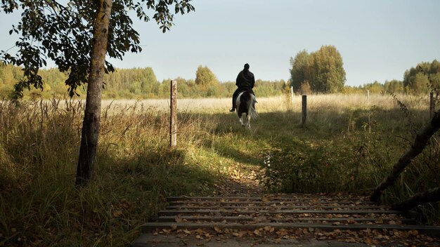 Photo rear view of man riding on field