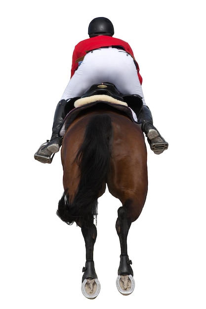 Foto vista posteriore di un uomo a cavallo su uno sfondo bianco