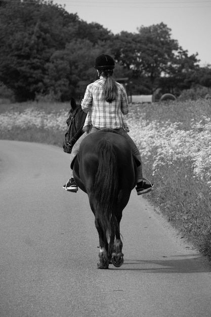 Photo rear view of man riding horse