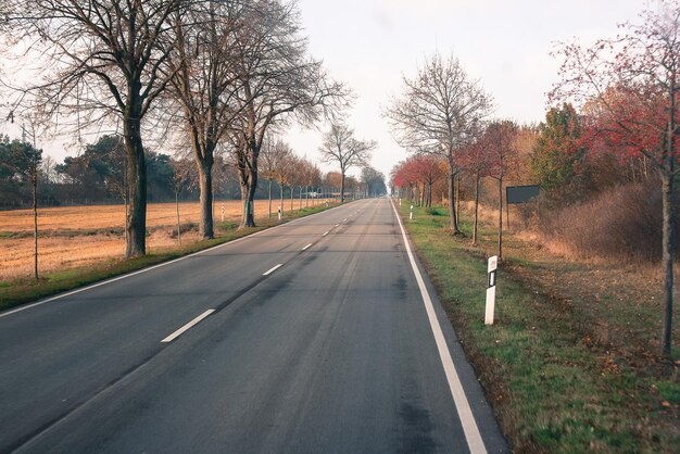 Rear view of man on road