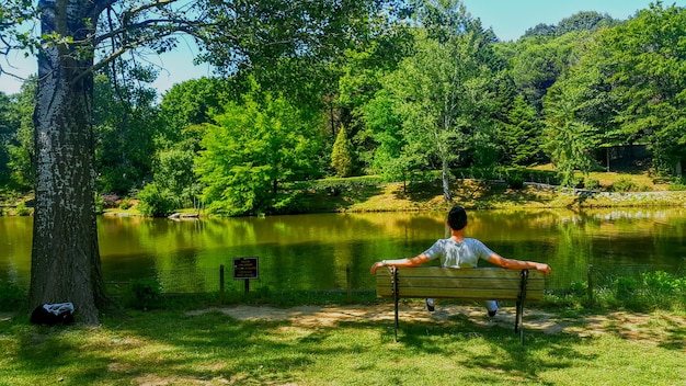 Foto vista posteriore di un uomo seduto su una panchina vicino al lago nel parco