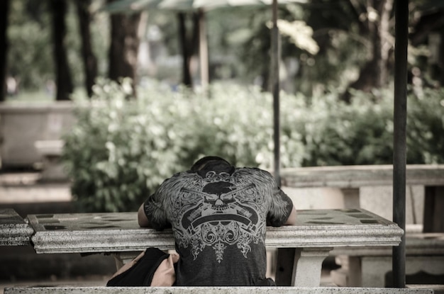 Rear view of man sitting on bench in park