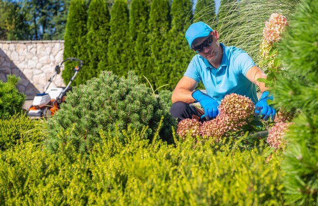 Foto vista posteriore di un uomo seduto su un campo erboso