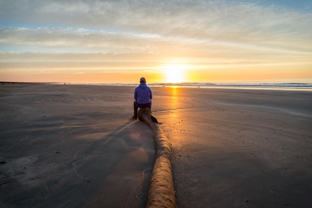 Foto vista posteriore di un uomo seduto su un tronco sulla spiaggia al tramonto