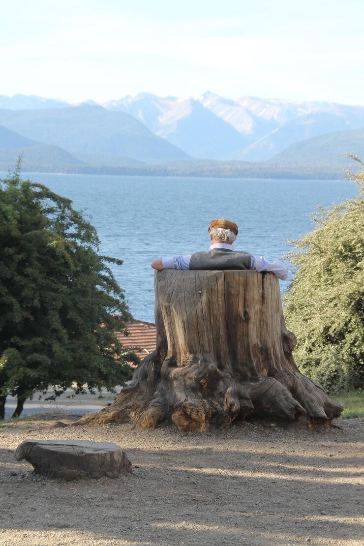Photo rear view of man sitting on tree stump at lakeshore