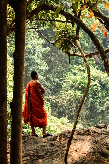 Photo rear view of a man sitting on tree