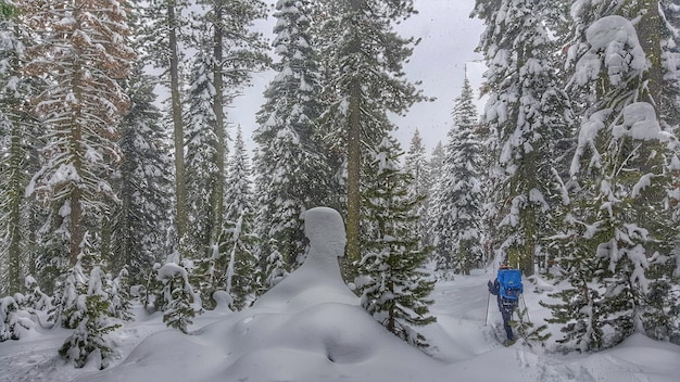 Foto vista posteriore di un uomo che scia su una foresta innevata