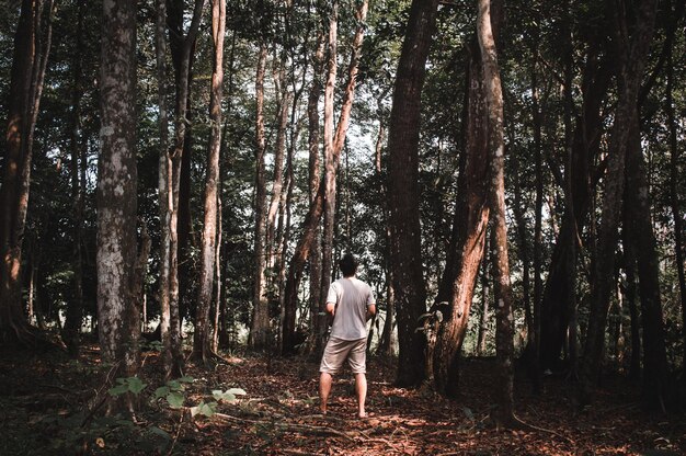 Photo rear view of man standing amidst trees in forest