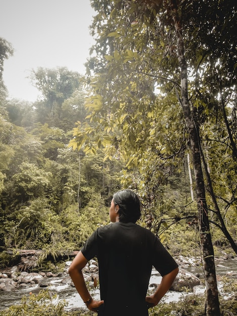 Задний вид человека, стоящего у деревьев в лесу