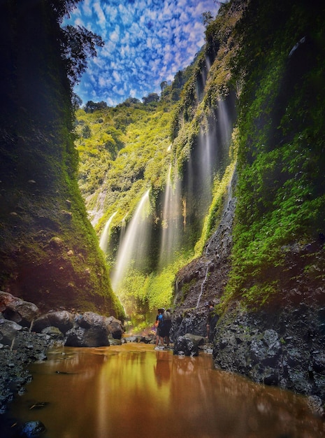 Foto vista posteriore di un uomo in piedi vicino a una cascata nella foresta