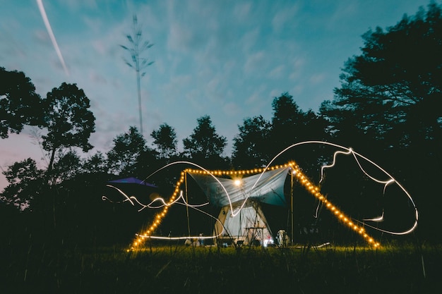 Rear view of man standing by wire wool against sky in nam cat tien forest dong nai viet nam