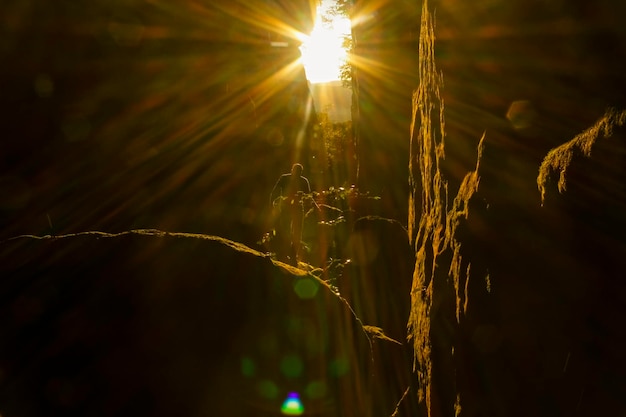 Photo rear view of man standing on cliff at night