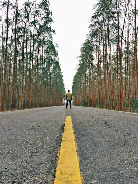 Foto vista posteriore di un uomo in piedi su una strada vuota tra gli alberi