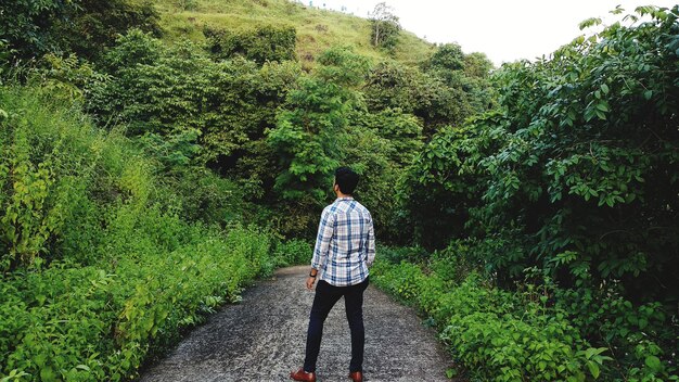 Rear view of man standing in forest