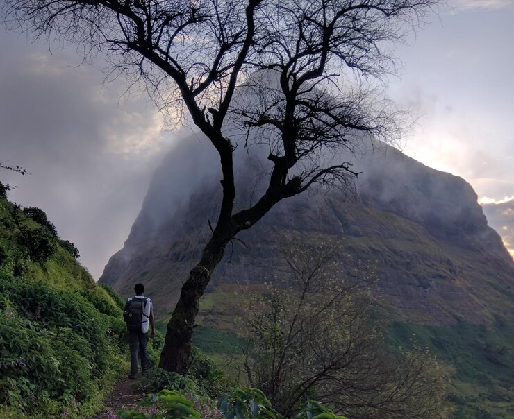Photo rear view of man standing on mountain against sky