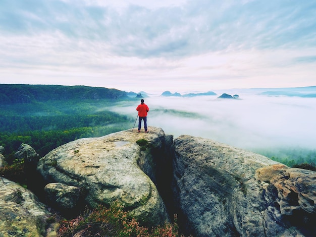 Rear view of man standing on rock