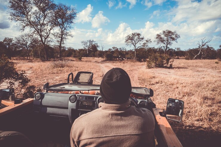 Game drive