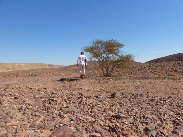 Rear view of man walking on desert against clear blue sky