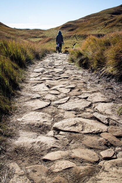 Photo rear view of man walking on dirt road