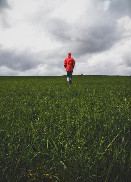 Foto vista posteriore di un uomo che cammina sul campo contro il cielo