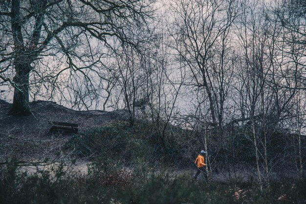 Rear view of man walking on field in forest