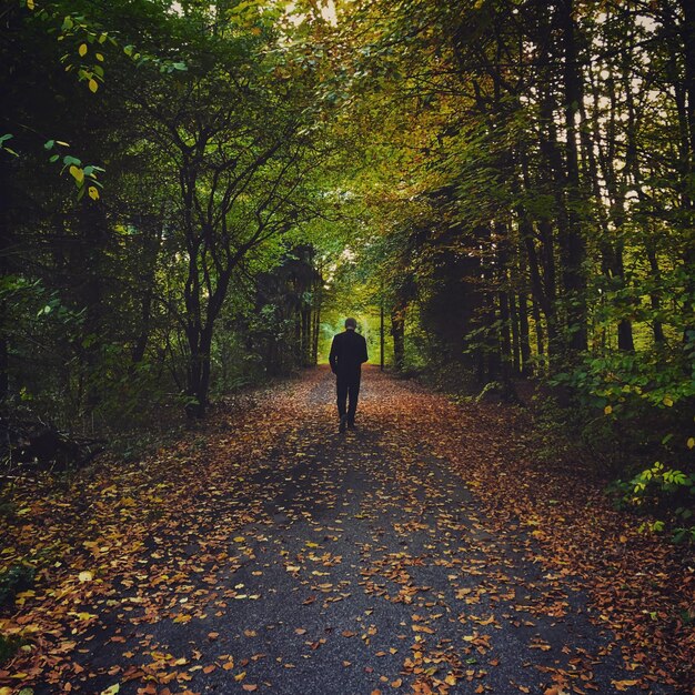 Foto vista posteriore di un uomo che cammina su un sentiero tra gli alberi della foresta