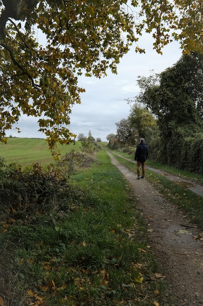 Rear view of man walking on footpath by trees