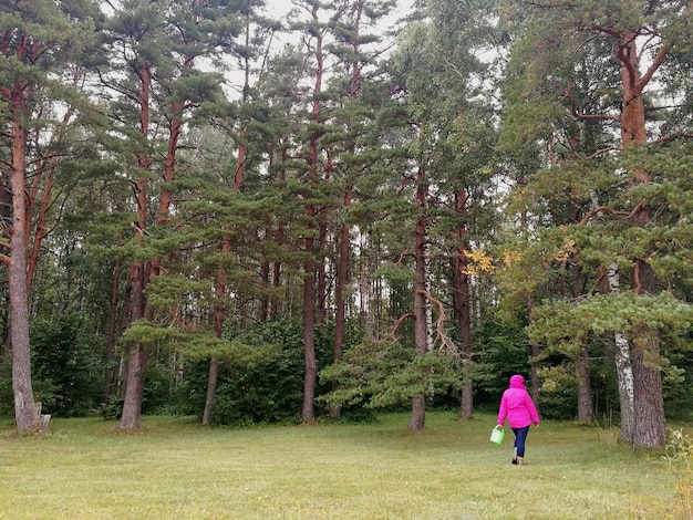 Foto vista posteriore di un uomo che cammina nella foresta